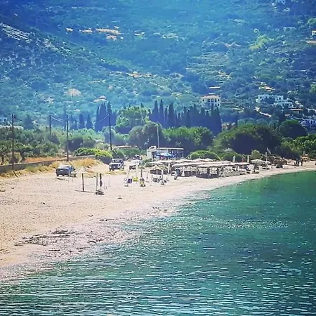 Asteria House Animborió