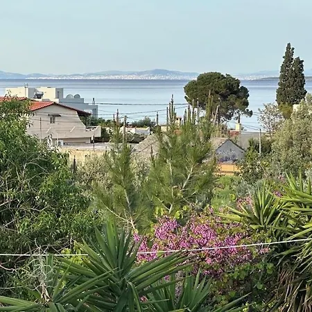 Asteria House Apartment