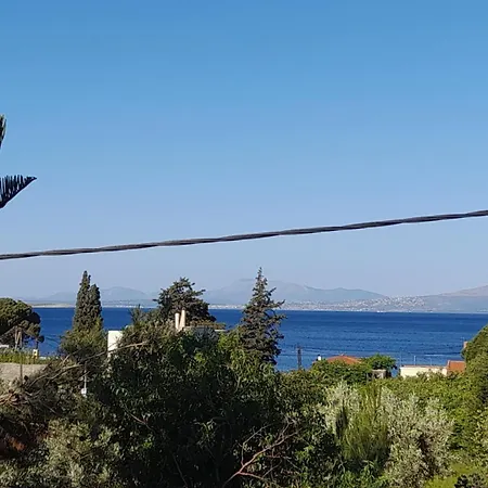 Apartment Asteria House